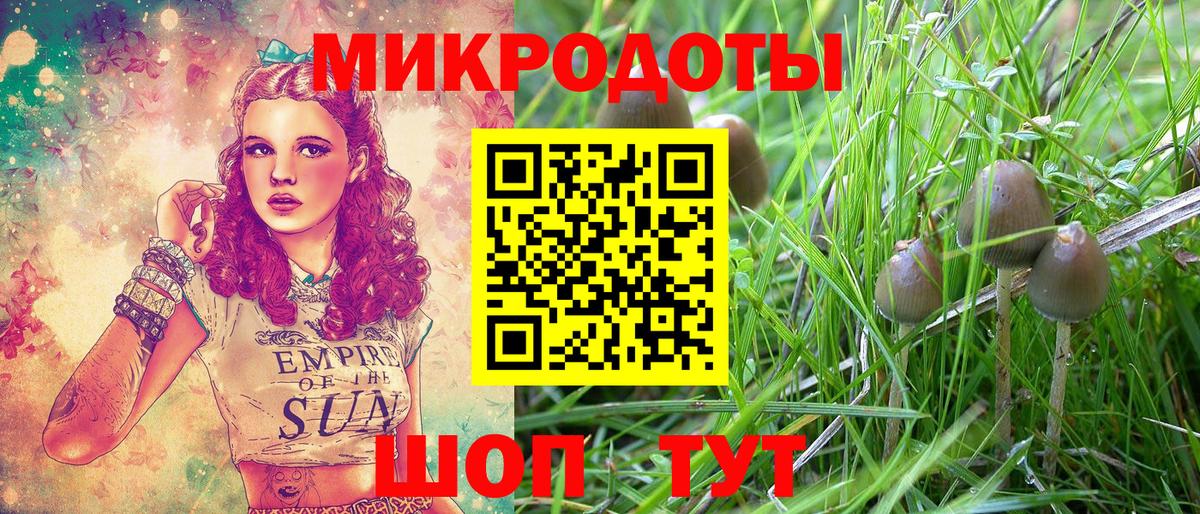 Псилоцибиновые грибы ЛСД Кашира